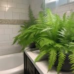 Best plants that thrive in LA bathrooms