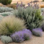 Best plants for low-maintenance patio landscaping in LA