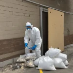 Removing lead paint safely in older LA homes